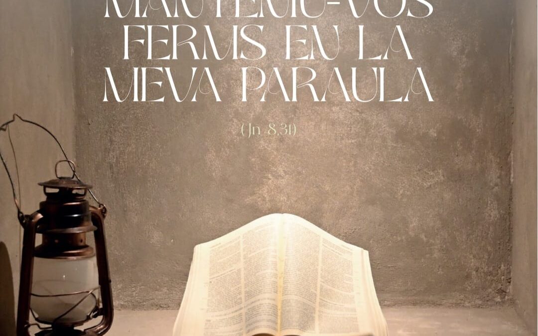 Seguint els passos del Diumenge de la Paraula. Diumenge III del temps d’Advent /C, desembre de 2024