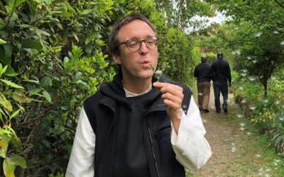 Si es tracta d’algú que obre la Bíblia per primera vegada…
