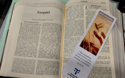 Cursos Bíblics d’Estiu 2026